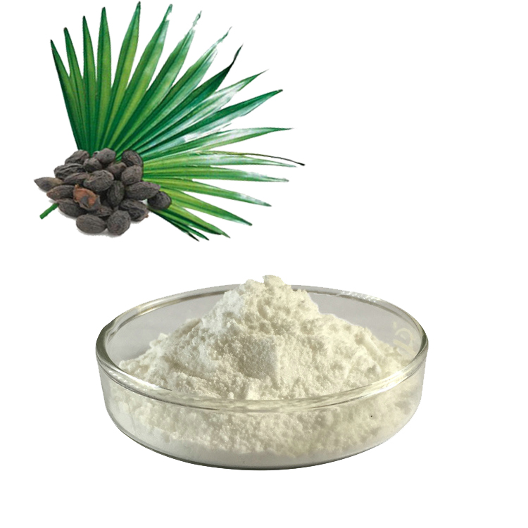 Vad är Saw Palmetto Extract? Och vad är Saw Palmetto Extract fördelar?